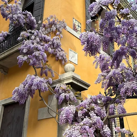 Carbonaia Guest house