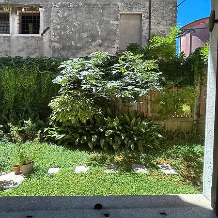Carbonaia 3*
