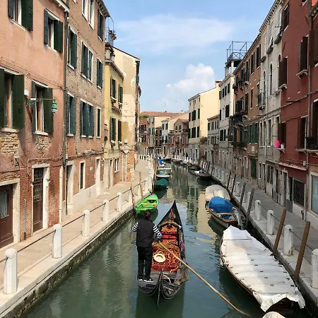 Carbonaia