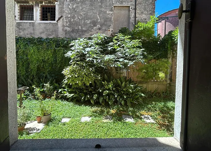 Carbonaia 3*